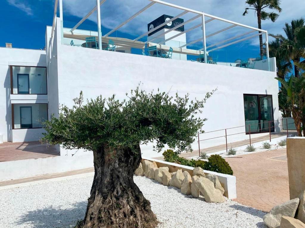דניה Soul Beach Hotel By Mc - Adults Recommended מראה חיצוני תמונה